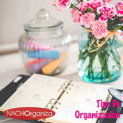 TIPS DE ORGANIZACION