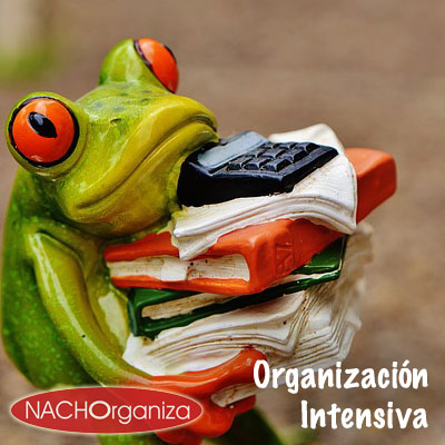 Organización Intensiva