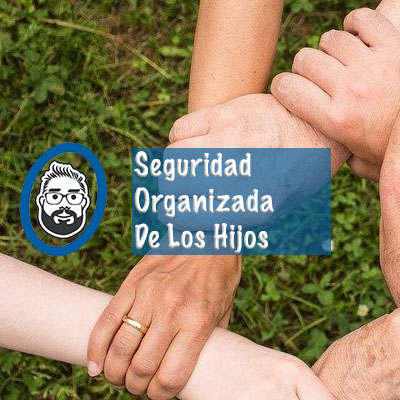 Seguridad Organizada De Los Hijos