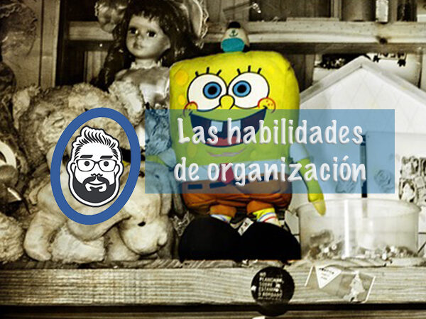 El sistema de organización