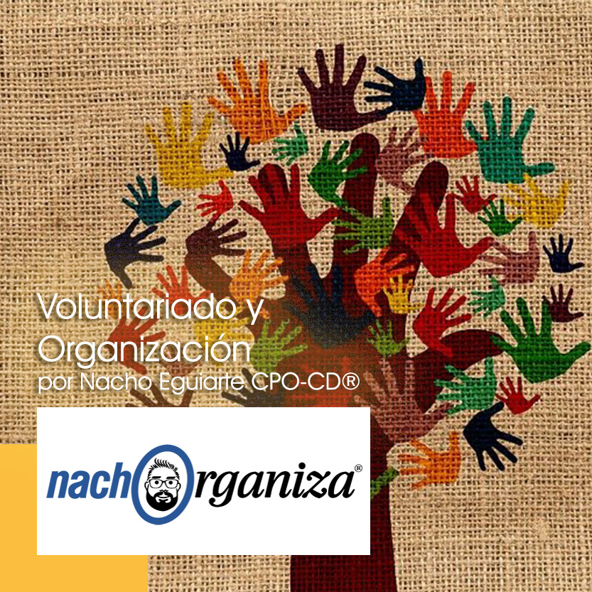 voluntariado y organización